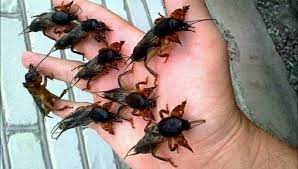 A, to już wiadomo skąd basiukiewicz się wziął w mediach. Turkuc Podjadek Posts Facebook