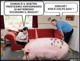 Alla fine della cena, il marito si rivolge alla moglie e le chiede: Immagini Divertenti Foto Barzellette Video Immagini Whatsapp Divertenti E Frasi Ogni Giorno Nuovi Conten Immagini Divertenti Divertente Battute Divertenti