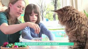 Your cat might be introverted, very smart, and obsessed with their toys, but this doesn't make them autistic. 6 Year Old Autistic Girl Iris And Her Cat Thula Wonderful Story 23rd Match 2016 Youtube