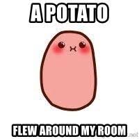 Congrats, this potato represents the potato song being stuck in your brain for the rest of eternity. A Potato A Potato Flew Around My Room Know Your Meme