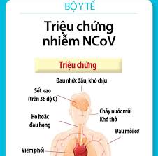 Tham khảo bài này ngay nhé. Bai Thuá»'c Nam Há»— Trá»£ Ä'iá»u Trá»‹ Chá»©ng On Dá»‹ch Va Covid 19