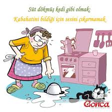 Deyimlerimizi Biliyor Muyuz Sut Dokmus Kedi Gibi Olmak Kabahatini Bildigi Icin Sesini Cikarmamak Sut Milk Kedi Cat Deyim Ata Kedi Deyimler Atasozleri