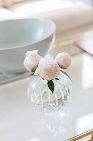 Learn when to cut peonies for long lasting indoor floral arrangements. How Long Do Peonies Bloom And Can You Store Them Yes Bluegraygal