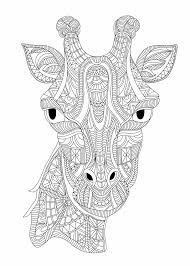 1000 x 1000 gif pixel. Giraffe Kleurplaat 40 Kleurplaten Van Giraffen Tijd Met Kinderen