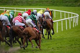 Free horse racing picks for the best us tracks: Dr James Penny Memorial Stakes Parx Casino Racing July 2021