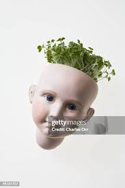 28 Charles Cress Stock Photos, High-Res Pictures, and Images