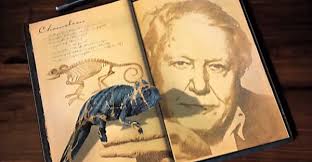 David Attenborough's Natural Curiosities