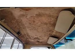 Image result for Sable Brown 1984 Dodge