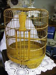 Bird Bath For Inside Cage Bamboo Bird Cage Bird Cage Vintage Bird Cage Bird Cages
