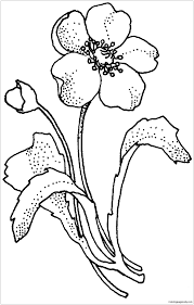 The coloring page is printable and can be used in the classroom or at home. Papaveraceae Poppy Flower Coloring Pages Flower Coloring Pages Coloring Pages For Kids And Adults