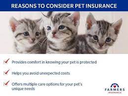 Check spelling or type a new query. Timeline Photos Farmers Insurance Lemrise Agency Facebook Farmers Insurance Pet Insurance Quotes Pets