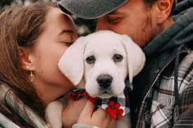 Mandi Beattie Photography