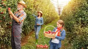 Kapcsolódó cikkek, tesztek, videók, képek. Magyar Kozlony Agrarium Mezogazdasag Es Elelmiszeripar