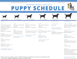 vaccinations gahanna animal hospital