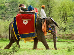 Camel rides are the most obvious but also one of the most thrilling options. Elephant Safari In Jaipur Book Upto 20 Off