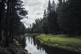 Secure payments, 24/7 support and a book with confidence guarantee Secluded Cabin Rentals Near Payson Arizona Glamping Hub