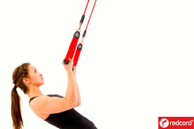 レッド コード 購入