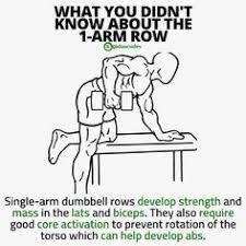 The One Arm Row Is A The One Arm Row Is A Great Unilateral Pulling Movement To Develop The Back And Biceps It Is Inc Big Biceps Workout One Arm Row