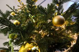 10.die geschenke legen alle familienmitglieder schön eingepackt unter den weihnachtsbaum. Weihnachtsbaum In Karlsruhe Kaufen Vorbereitung Auf Das Fest Meinka