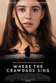 Flashbacks unveil an enjoyable narrative in 'Where the Crawdads Sing'