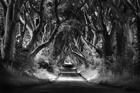 Beautiful Black And White Scenery Wallpaper Black And White Landscapes Of Ireland Dublin Camera Club Photographer Neil Mcshane Black And White Landscape Landscape Pictures Landscape Photography