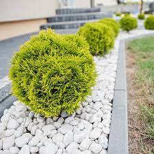 We've got all the ideas you could need. Lawn Edging Ideas Homebase