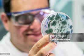 648 German Cabrera Stock Photos, High-Res Pictures, and Images