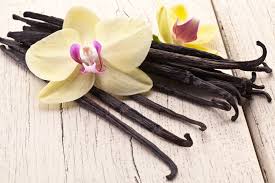 Image result for Vanilla