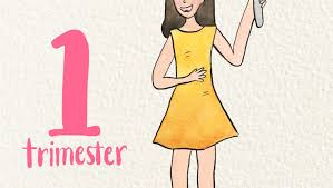 Image result for First Trimester Education