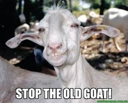 Old Goat Stop The Old Goat Stop The Old Goat Aussie Memes Funny Animals Goats Funny Animals
