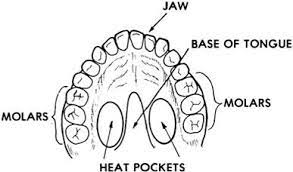 Both will give a false reading. 2 Examine Thermometer Make Sure That The Thermometer You Are Going To Use Is Actually An Oral Thermometer And That The Thermometer Has Been Shaken Down