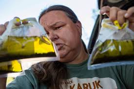 The World's Largest Dam Demolition Has Begun. Can the Dammed Klamath River  Finally Find Salvation?