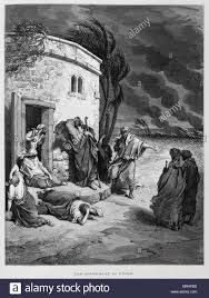 Job Comprehends His Ruin Illustration From The Dore Bible 1866 In 1866 The French Artist And Illustrator Gustave Gustave Dore Bible Illustrations Bible Art
