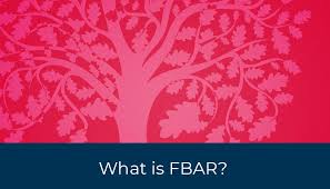 Borang permohonan ap terbuka panduan mengisi borang. What Is Fbar And Fbar Filing Americans Overseas