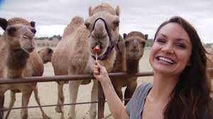 Santa ysabel is where hwy 78 and 79 meet. Oasis Camel Dairy Farm Pomegranate Days With Jenny Milkowski 11 26 19 Youtube