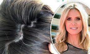 Retrieved august 9, 2021 from www.sciencedaily.com. Heidi Klum Reveals First Grey Hair In New Instagram Snap Daily Mail Online