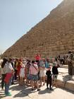 شبكة أخبار مصر الأن