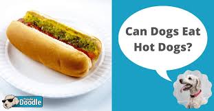 In addition, chicken feet can act as edible and fully digestible toothbrushes, supporting gum and dental health. Can Dogs Eat Hot Dogs Are Hot Dogs Bad For Dogs