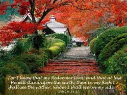 Scripture for Today: Job 19:21-27 ~ my Redeemer lives