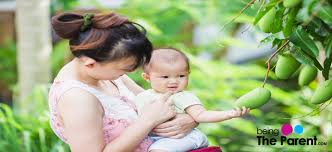 8 Health Benefits Of Mango For Your Baby Being The Parent