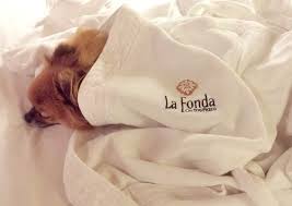 Dogs may not be left unattended in rooms. Pet Friendly Hotels Santa Fe La Fonda On The Plaza