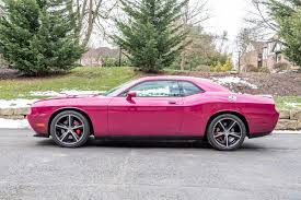Image result for Furious Fuchsia 2010 Challenger