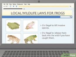 Vinegar can keep frogs away by causing a burning sensation at their feet. How To Get Rid Of Frogs With Pictures Wikihow