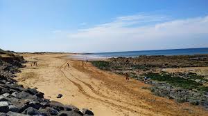 Plage De Sauveterre Olonne Sur Mer 2021 All You Need To Know Before You Go With Photos Tripadvisor