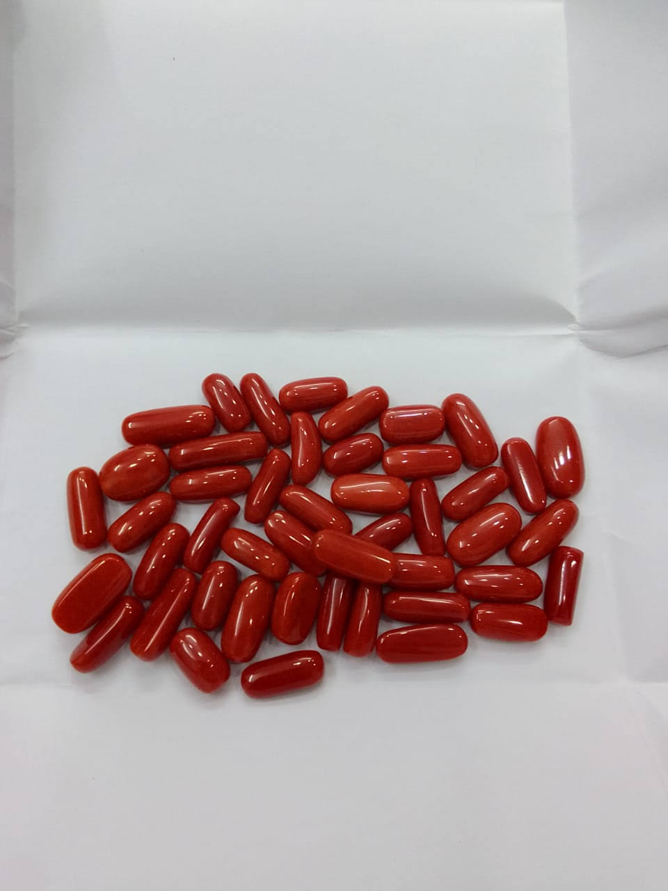 BIG SIZE RED CORAL product image