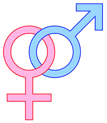 'gender normals,' transgender people, and the social maintenance of heterosexuality. Gender Simple English Wikipedia The Free Encyclopedia