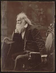 Keep Your Eyes On The Horizon Walt Whitman Poems Walt Whitman Whitman Poems