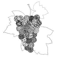 1483 x 1804 file type: Grape Coloring Page Stock Illustrations 172 Grape Coloring Page Stock Illustrations Vectors Clipart Dreamstime