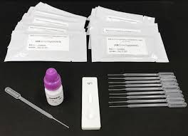 Soon you will also be able to turn your vaccination certificate into a. 15 Minute Coronavirus Test Kits To Be Sold In Japan From Next Week The Japan Times