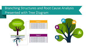 Branching Structures And Root Cause Analysis Presented With